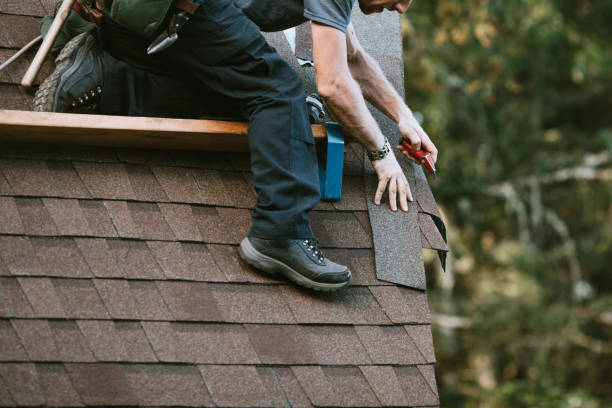 Best Roof Maintenance and Cleaning  in Easley, SC